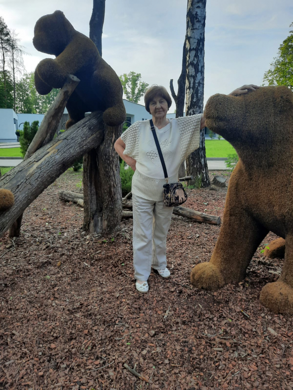 Территория